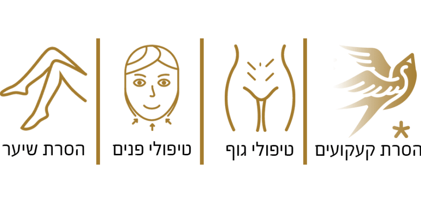 אייקונים - פרו +